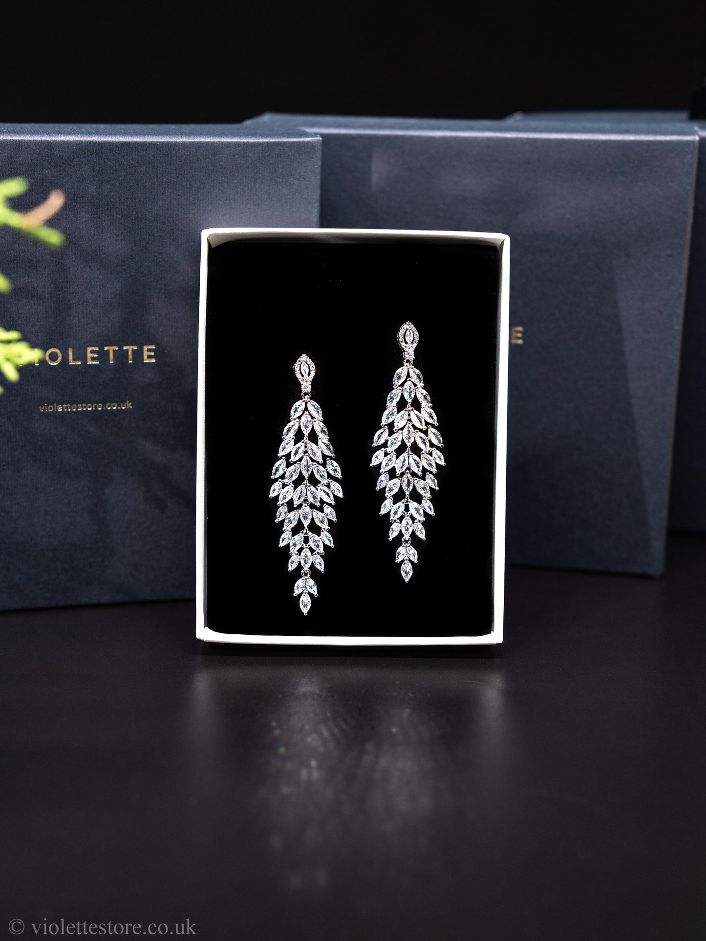 Stunning Crystal Earrings